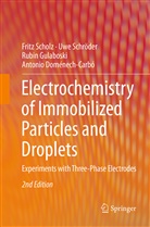 Antonio Doménech-Carbó, Rubin Gulaboski, Rubin et al Gulaboski, Frit Scholz, Fritz Scholz, Uw Schröder... - Electrochemistry of Immobilized Particles and Droplets