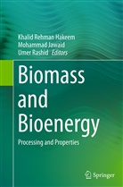 Khalid Rehman Hakeem, Mohamma Jawaid, Mohammad Jawaid, Umer Rashid - Biomass and Bioenergy