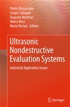 Pietro Burrascano, Sergi Callegari, Sergio Callegari, Augusto Montisci, Augusto Montisci et al, Marco Ricci... - Ultrasonic Nondestructive Evaluation Systems