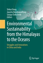 Jayant Bandyopadhyay, Jayanta Bandyopadhyay, Sanjay Chaturvedi, Shikui Dong - Environmental Sustainability from the Himalayas to the Oceans