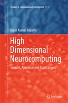 Bipin Kumar Tripathi - High Dimensional Neurocomputing