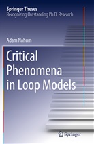 Adam Nahum - Critical Phenomena in Loop Models
