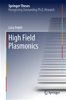 Luca Fedeli - High Field Plasmonics