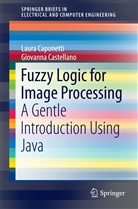 Laur Caponetti, Laura Caponetti, Giovanna Casellano, Giovanna Castellano - Fuzzy Logic for Image Processing