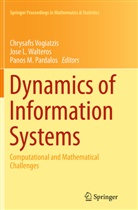 Jos L Walteros, Jose L Walteros, Panos M Pardalos, Panos M Pardalos, Panos M. Pardalos, Chrysafis Vogiatzis... - Dynamics of Information Systems