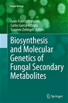 Carlos Garcia-Estrada, Carlo García-Estrada, Carlos García-Estrada, Juan-Francisco Martin, Juan-Francisco Martín, Susanne Zeilinger - Biosynthesis and Molecular Genetics of Fungal Secondary Metabolites