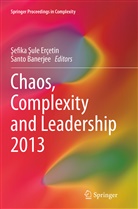 Banerjee, Banerjee, Santo Banerjee, ¿Efika ¿Ule Er¿in, Sefika Sule Erçetin, Şefika Şule Erçetin... - Chaos, Complexity and Leadership 2013