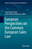 M Martínez Velencoso, M Martínez Velencoso, Luz M. Martinez Velencoso, Luz M. Martínez Velencoso, Javier Plaza Penades, Javie Plaza Penadés... - European Perspectives on the Common European Sales Law