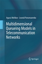 Agass Melikov, Agassi Melikov, Leonid Ponomarenko - Multidimensional Queueing Models in Telecommunication Networks