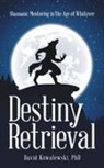 David Kowalewski, David Kowalewski Phd, Phd David Kowalewski - Destiny Retrieval