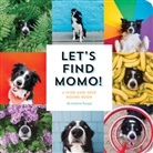 Andrew Knapp - Let's Find Momo