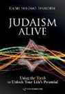 Shlomo Einhorn - Judaism Alive