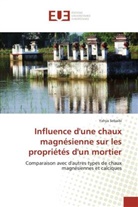 Yahya Sebaibi - Influence d'une chaux magnésienne sur les propriétés d'un mortier