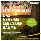 Peter Wohlleben, Roman Roth, Peter Wohlleben - Das geheime Leben der Bäume, 6 Audio-CDs (Audio book)