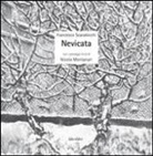 Nicola Montanari, Francesco Scarabicchi - Nevicata