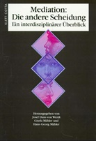Mediation, Die andere Scheidung