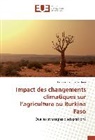 Tegawende J. Nana, Tegawende Juliette Nana - Impact des changements climatiques sur l'agriculture au Burkina Faso