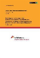 Christian Rüsing - Die Folgenorientierung in der Rechtswissenschaft als methodisches Paradoxon. Fallbeispiel Nichtigerklärung Allgemeiner Versicherungsbedingungen