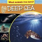 M J Knight, M.J. Knight - What Animals Live Here?: Deep Sea