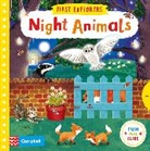 Jenny Wren, Jenny Wren, Wren Jenny - Night Animals