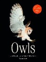 Marianne Taylor - Owls