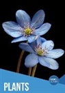 Gemma Mcmullen, Drue Rintoul - Plants