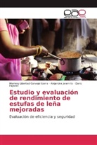 Marleny Liberta Carvajal Ibarra, Marleny Libertad Carvajal Ibarra, Dario Fajardo, Aleja Jaramillo, Alejandra Jaramillo - Estudio y evaluación de rendimiento de estufas de leña mejoradas