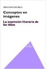 Diego Sánchez Meca - Conceptos en imágenes : la expresión literaria de las ideas