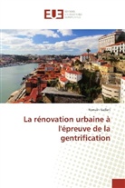 Romain Gallart - La rénovation urbaine à l'épreuve de la gentrification