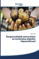 Máté Csák - Burgonyafajták azonosítása és minösítése digitális képanalízissel