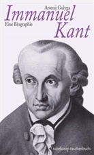 Arsenij Gulyga - Immanuel Kant
