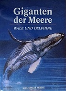 Giganten der Meere, Wale und Delphine