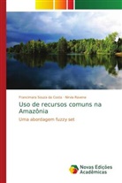 Nirvia Ravena, Francimara Souza da Costa - Uso de recursos comuns na Amazônia