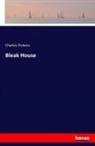 Charles Dickens - Bleak House