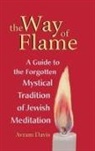 Avram Davis, Davis Avram - The Way of Flame