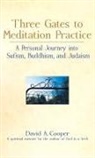 David A. Cooper, Rabbi David A. Cooper - Three Gates to Meditation Practices