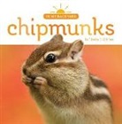 Lindsy O'Brien, Lindsy J. O'Brien - Chipmunks