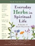 Michael J. Caduto, Micheal J. Caduto, Michael J. Caduto - Everyday Herbs in Spiritual Life