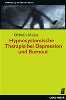 Ortwin Meiss - Hypnosystemische Therapie bei Depression und Burnout