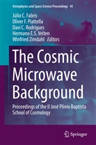 Davi C Rodrigues et al, Júlio C. Fabris, Oliver Piatella, Olive Piattella, Oliver Piattella, Davi C. Rodrigues... - The Cosmic Microwave Background