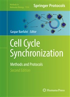 Gaspa Banfalvi, Gaspar Banfalvi - Cell Cycle Synchronization