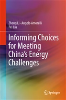 Angel Amorelli, Angelo Amorelli, Zhen Li, Zheng Li, Pei Liu - Informing Choices for Meeting China's Energy Challenges