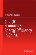 Hua Liao, Yi-min Wei, Yi-Ming Wei - Energy Economics: Energy Efficiency in China