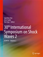 Gabi Ben-Dor, Ozer Igra, Ore Sadot, Oren Sadot - 30th International Symposium on Shock Waves 2