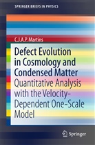 C J A P Martins, C. J. A. P. Martins, C.J.A.P. Martins, Carlos Martins - Defect Evolution in Cosmology and Condensed Matter