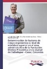 Ba, Milena Paola Barros Chica, Liyanet Daza Oñate, Liyaneth Daza Oñate, Dino Carmel Manco Jaraba, Dino Carmelo Manco Jaraba - Determinación de factores de riesgo ergonómico a nivel de miembro superior en el área administrativa de la Fundación Médico Preventiva en la ciudad de Valledupar - Cesar, Colombia