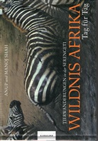 Anup Shah, Manoj Shah - Wildnis Afrika, Tag für Tag
