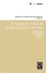 Paul J. Gollan, David Lewin, Amanda Pyman, Adrian Wilkinson - Employee Voice in Emerging Economies