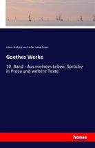 Ludwi Geiger, Ludwig Geiger, Johann Wolfgang von Goethe - Goethes Werke