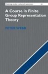 Peter Webb, Peter (University of Minnesota) Webb - Course in Finite Group Representation Theory